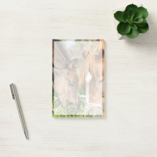 Kutest Baby Animals Paardenkool Post-it® Notes