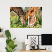 Kutest Baby Animals | Paardenkool Poster (Thuiskantoor)