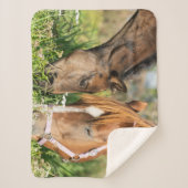 Kutest Baby Animals | Paardenkool Sherpa Deken (Voorkant)