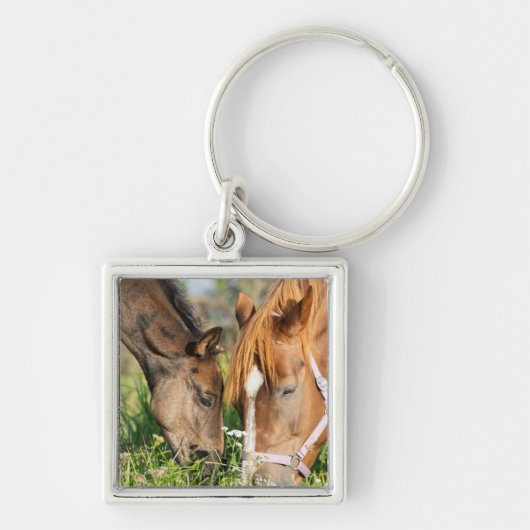 Kutest Baby Animals | Paardenkool Sleutelhanger (Voorkant)