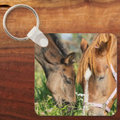 Kutest Baby Animals | Paardenkool Sleutelhanger (Voorkant)