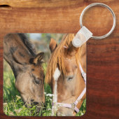 Kutest Baby Animals | Paardenkool Sleutelhanger (Achterkant)