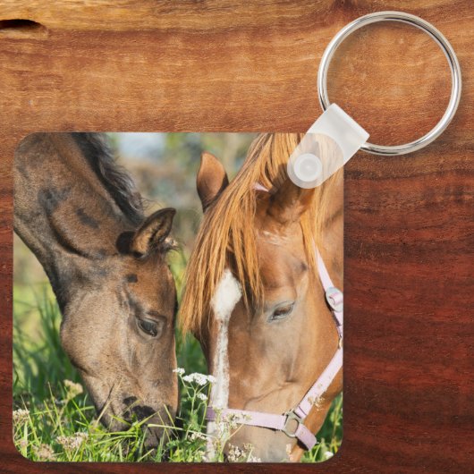 Kutest Baby Animals | Paardenkool Sleutelhanger (Achterkant)