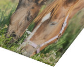 Kutest Baby Animals | Paardenkool Snijplank (Hoek)