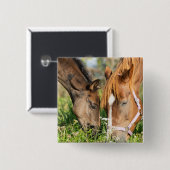 Kutest Baby Animals | Paardenkool Vierkante Button 5,1 Cm (Voorkant /achterkant)