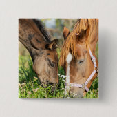 Kutest Baby Animals | Paardenkool Vierkante Button 5,1 Cm (Voorkant)