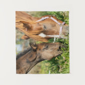 Kutest Baby Animals | Paardenkool Wandkleed (Voorkant)