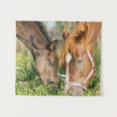 Kutest Baby Animals | Paardenkool Wandkleed (Voorkant (horizontaal))