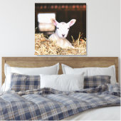 Kutest Baby Animals | Pasgeboren lammeren Canvas Afdruk (Insitu (Slaapkamer))