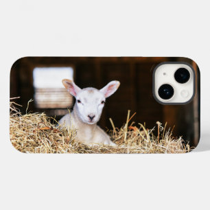 Kutest Baby Animals   Pasgeboren lammeren Case-Mate iPhone 14 Hoesje