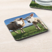 Kutest Baby Animals | Pasgeboren lammeren en mama Bier Onderzetter (Linkerzijde)