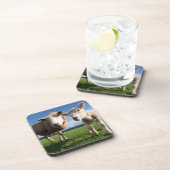 Kutest Baby Animals | Pasgeboren lammeren en mama Bier Onderzetter (Rechterzijde)