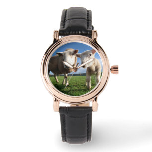 Kutest Baby Animals Pasgeboren lammeren en mama Horloge