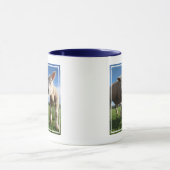 Kutest Baby Animals | Pasgeboren lammeren en mama Mok (Midden)