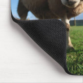 Kutest Baby Animals | Pasgeboren lammeren en mama Muismat (Hoek)