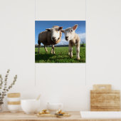 Kutest Baby Animals | Pasgeboren lammeren en mama Poster (Keuken)