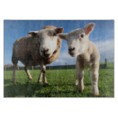 Kutest Baby Animals | Pasgeboren lammeren en mama Snijplank (Voorkant)