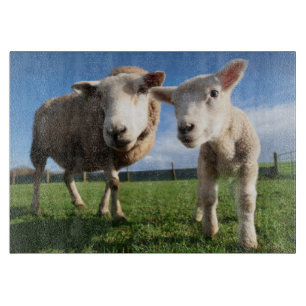 Kutest Baby Animals Pasgeboren lammeren en mama Snijplank