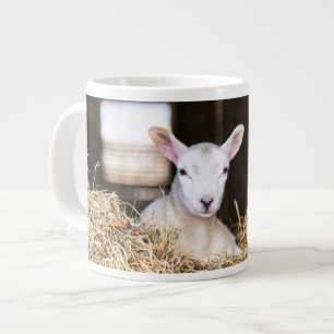 Kutest Baby Animals Pasgeboren lammeren Grote Koffiekop