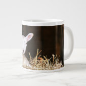 Kutest Baby Animals | Pasgeboren lammeren Grote Koffiekop (Voorkant rechts)