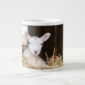 Kutest Baby Animals | Pasgeboren lammeren Grote Koffiekop (Voorkant)