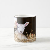 Kutest Baby Animals | Pasgeboren lammeren Koffiemok (Center)