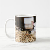 Kutest Baby Animals | Pasgeboren lammeren Koffiemok (Links)