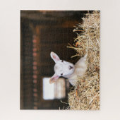 Kutest Baby Animals | Pasgeboren lammeren Legpuzzel (Verticaal)