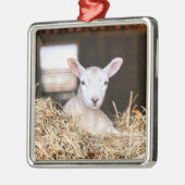 Kutest Baby Animals | Pasgeboren lammeren Metalen Ornament (Links)