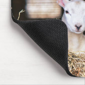 Kutest Baby Animals | Pasgeboren lammeren Muismat (Hoek)