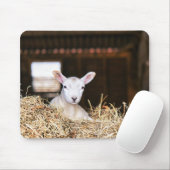Kutest Baby Animals | Pasgeboren lammeren Muismat (Met muis)