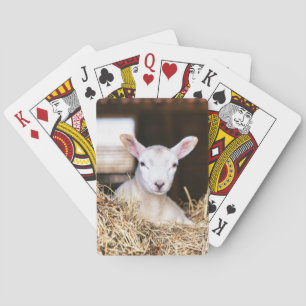 Kutest Baby Animals Pasgeboren lammeren Pokerkaarten