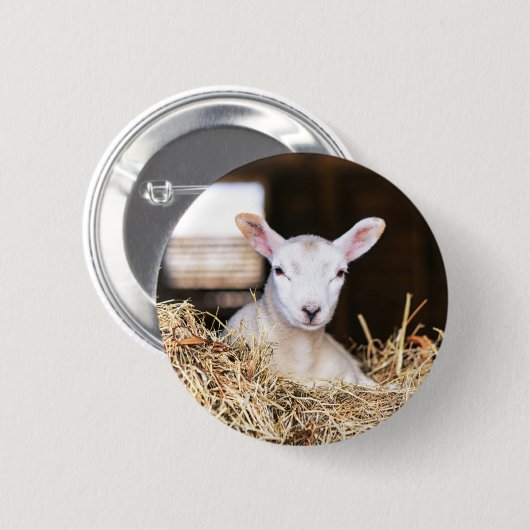 Kutest Baby Animals | Pasgeboren lammeren Ronde Button 5,7 Cm (Voorkant /achterkant)