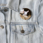 Kutest Baby Animals | Pasgeboren lammeren Ronde Button 5,7 Cm (In situ)