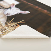 Kutest Baby Animals | Pasgeboren lammeren Sherpa Deken (3/4)