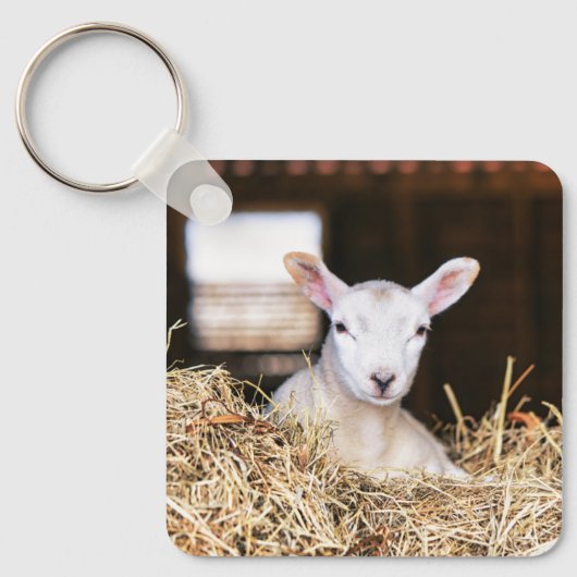 Kutest Baby Animals | Pasgeboren lammeren Sleutelhanger (Voorkant)