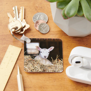 Kutest Baby Animals   Pasgeboren lammeren Sleutelhanger