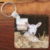 Kutest Baby Animals | Pasgeboren lammeren Sleutelhanger (Voorkant)