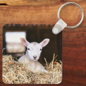 Kutest Baby Animals | Pasgeboren lammeren Sleutelhanger (Achterkant)
