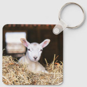 Kutest Baby Animals | Pasgeboren lammeren Sleutelhanger (Achterkant)