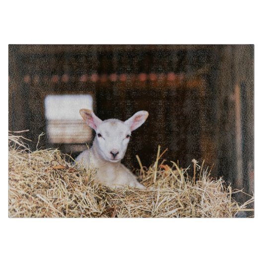 Kutest Baby Animals | Pasgeboren lammeren Snijplank (Voorkant)