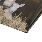Kutest Baby Animals | Pasgeboren lammeren Snijplank (Hoek)
