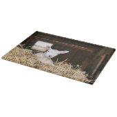 Kutest Baby Animals | Pasgeboren lammeren Snijplank (Hoek)