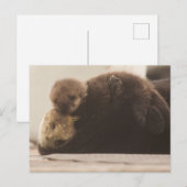 Kutest Baby Animals | Pasgeboren otterpop Briefkaart (Voorkant / Achterkant)