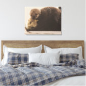 Kutest Baby Animals | Pasgeboren otterpop Canvas Afdruk (Insitu (Slaapkamer))