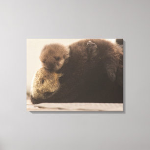 Kutest Baby Animals   Pasgeboren otterpop Canvas Afdruk