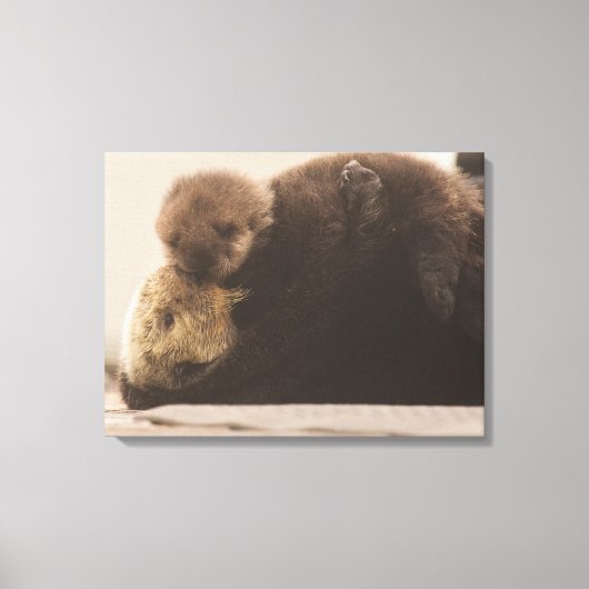 Kutest Baby Animals | Pasgeboren otterpop Canvas Afdruk (Voorkant)