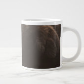 Kutest Baby Animals | Pasgeboren otterpop Grote Koffiekop (Rechts)