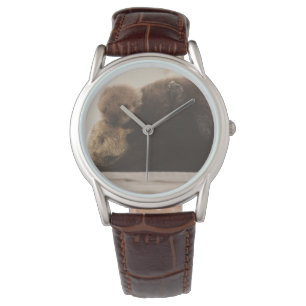 Kutest Baby Animals   Pasgeboren otterpop Horloge