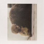 Kutest Baby Animals | Pasgeboren otterpop Legpuzzel (Verticaal)